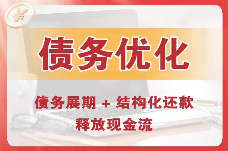 府谷债务优化